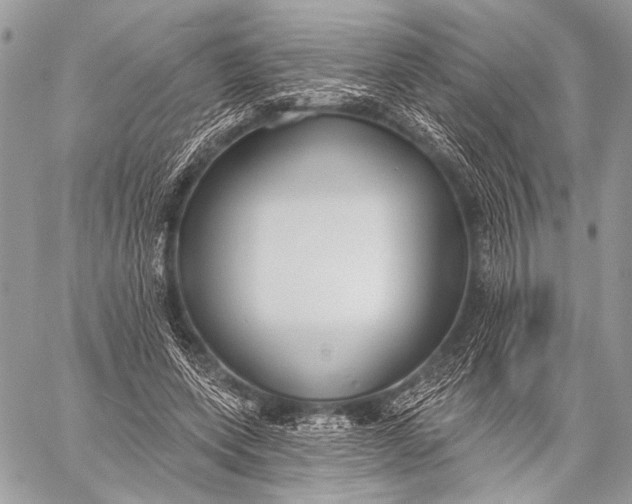 X0000059040543200510281545