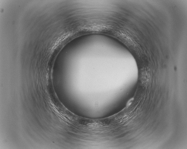 X0000059040544200510281545