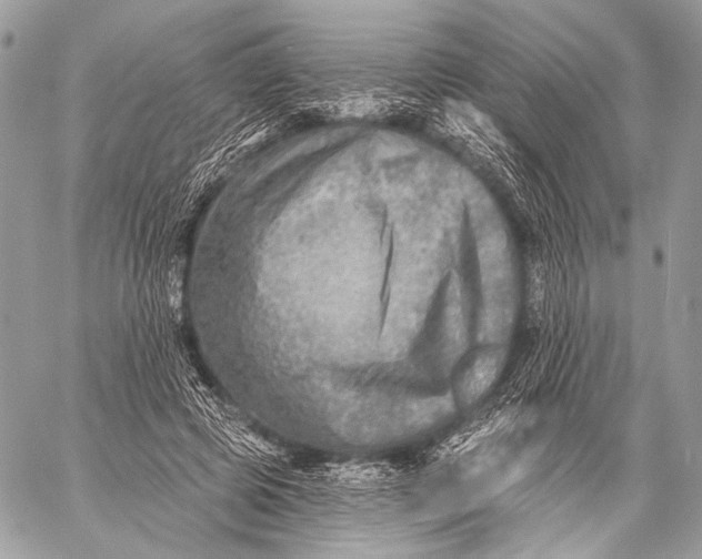 X0000059040545200510281545