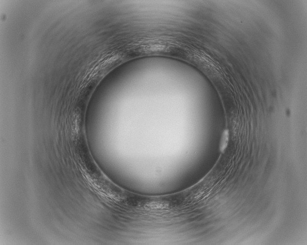 X0000059040546200510281545