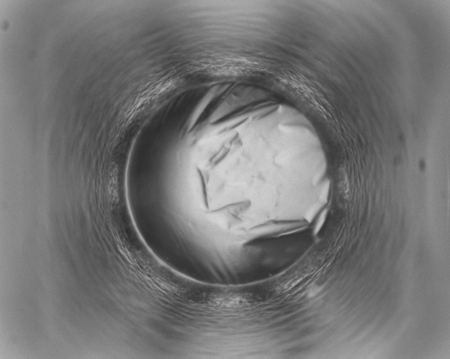 X0000059040547200510281545