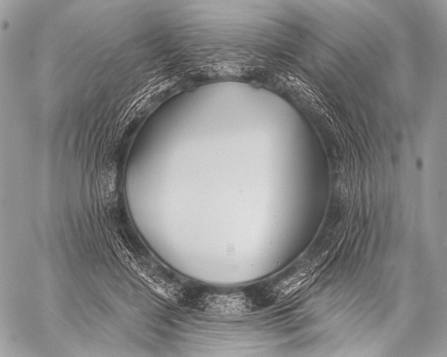 X0000059040548200510281545