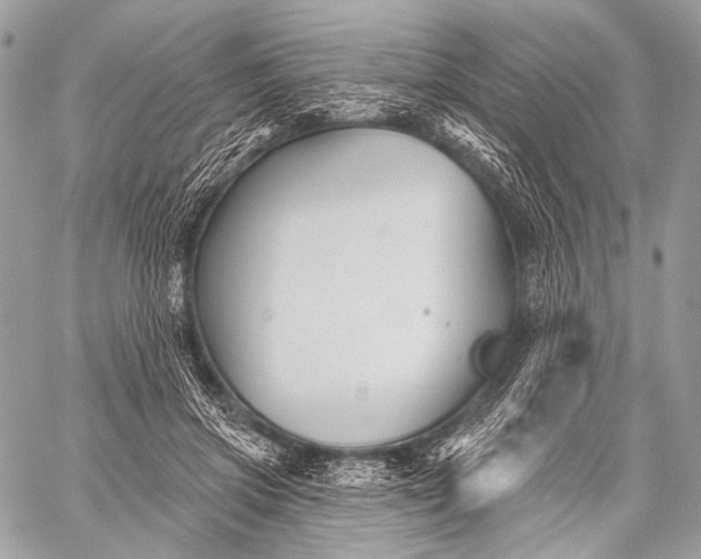 X0000059040549200510281545