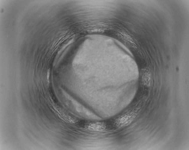 X0000059040550200510281545