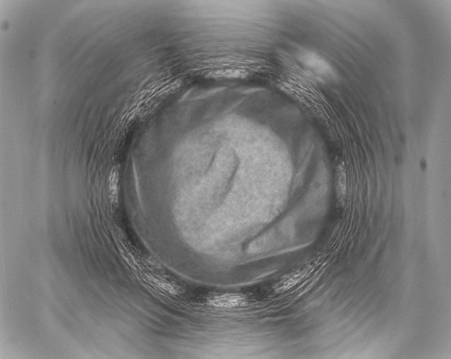 X0000059040551200510281545