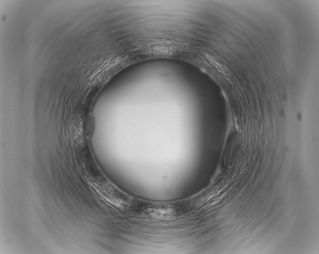 X0000059040552200510281545