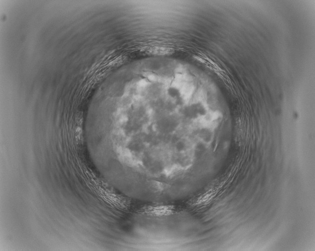 X0000059040553200510281545