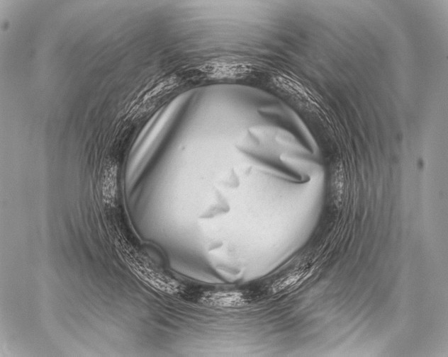 X0000059040554200510281545