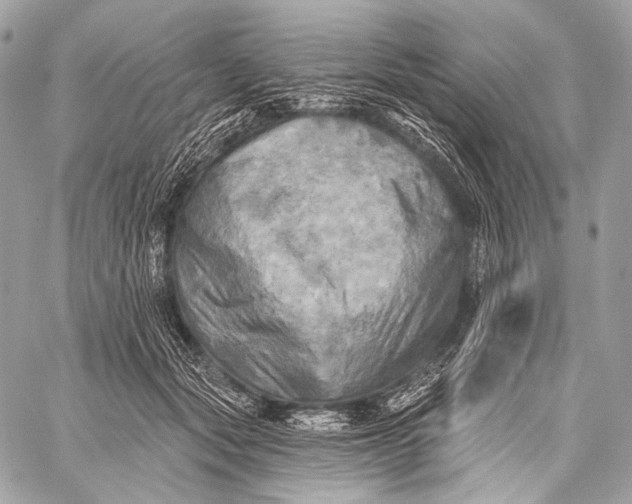 X0000059040557200510281545