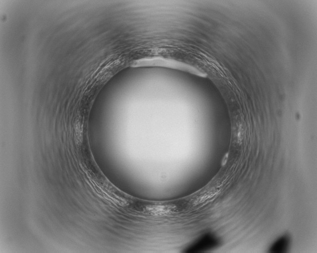 X0000059040558200510281545