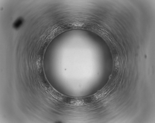 X0000059040559200510281545