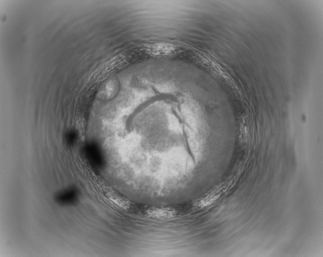 X0000059040561200510281545