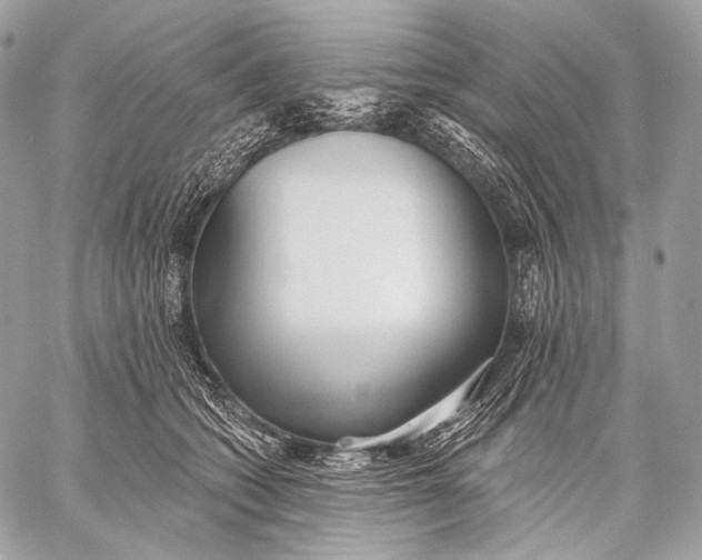 X0000059040562200510281545