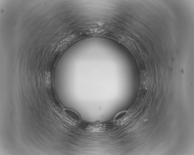 X0000059040563200510281545