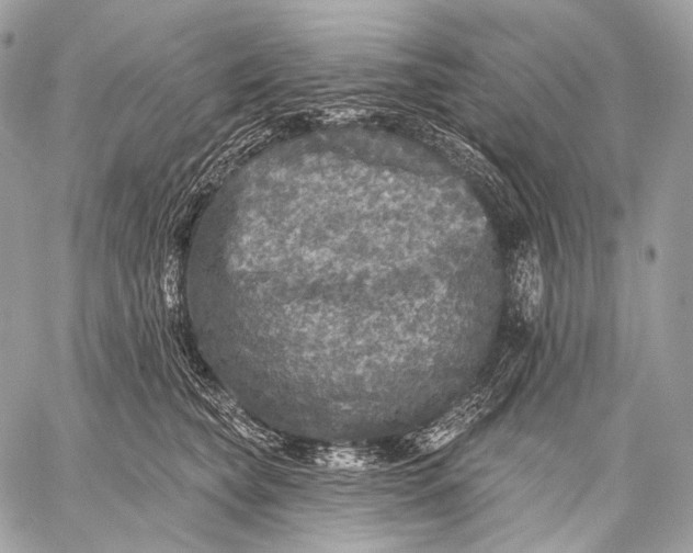 X0000059040565200510281545