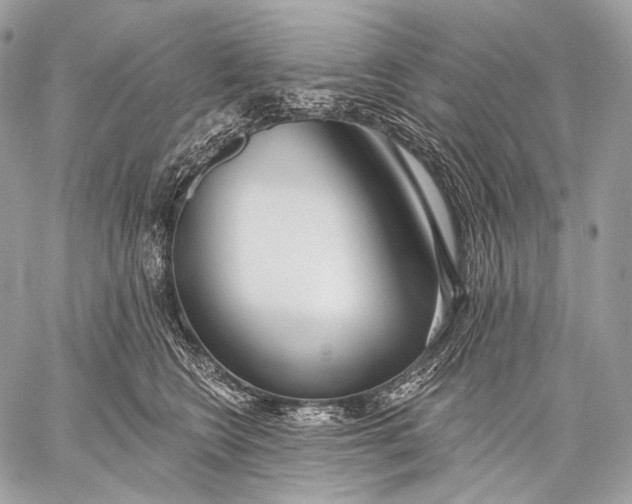 X0000059040566200510281545