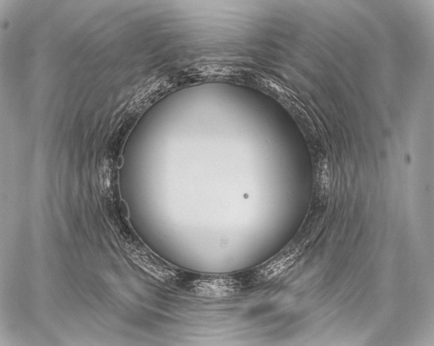 X0000059040567200510281545