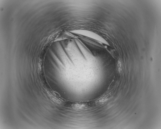 X0000059040570200510281545