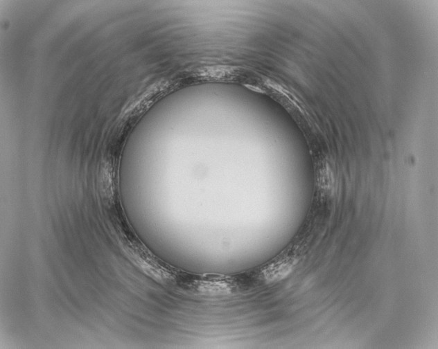 X0000059040572200510281545