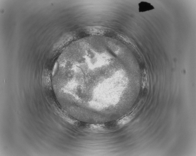 X0000059040573200510281545