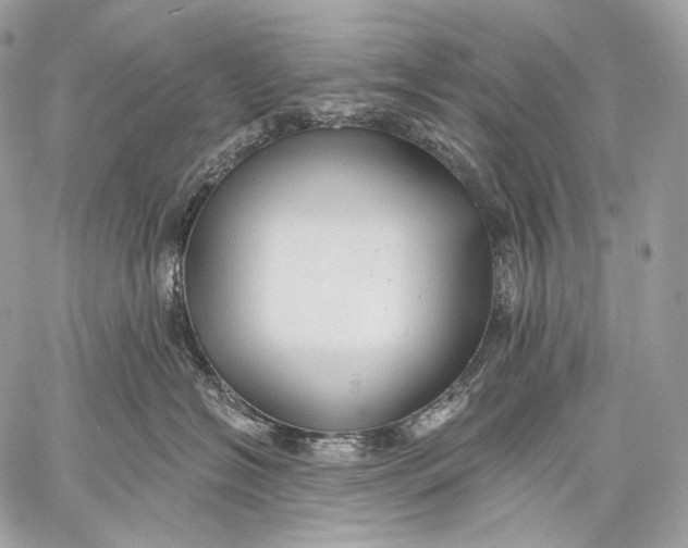 X0000059040574200510281545