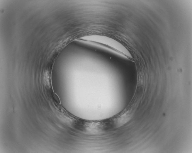 X0000059040575200510281545