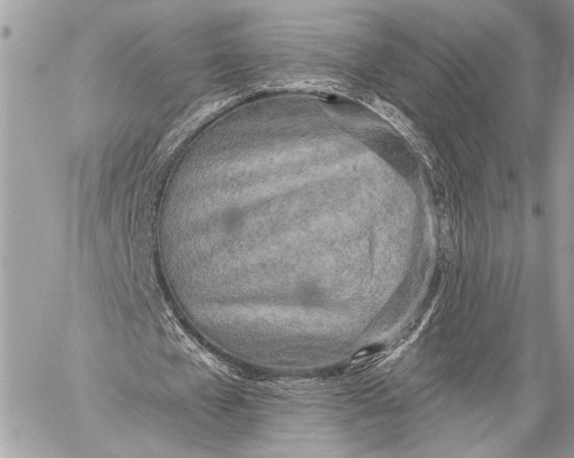 X0000059040577200510281544