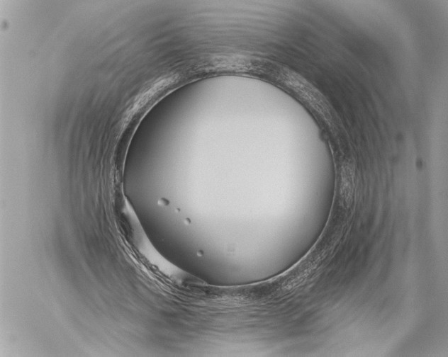 X0000059040578200510281544