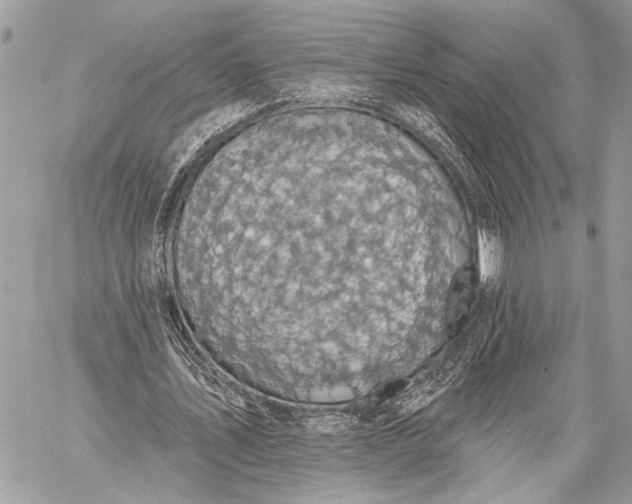 X0000059040579200510281544