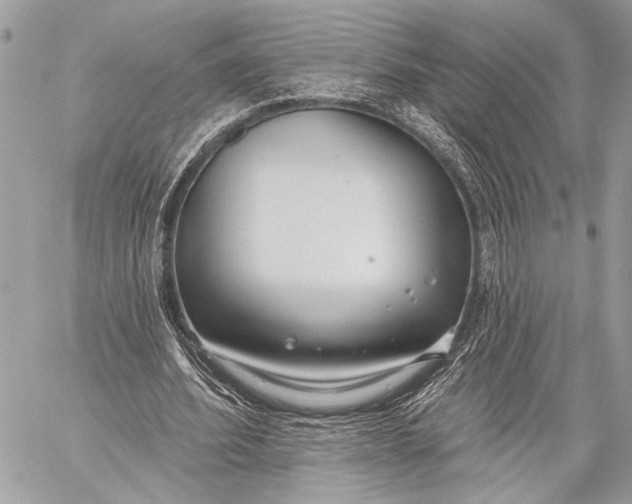 X0000059040580200510281544