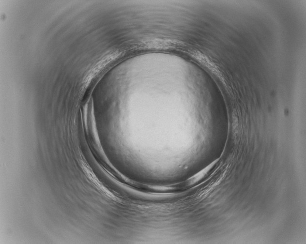 X0000059040581200510281544