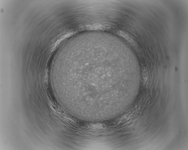 X0000059040583200510281544