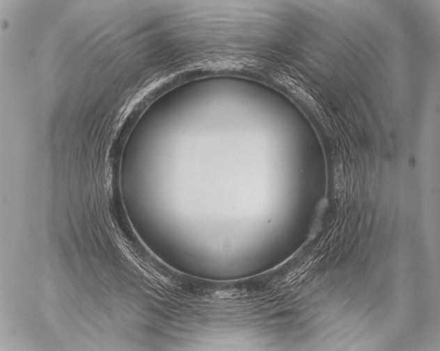 X0000059040584200510281544