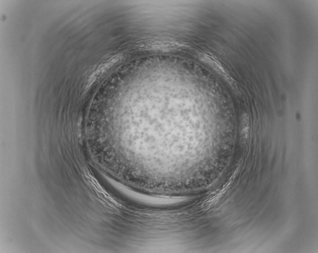 X0000059040585200510281544