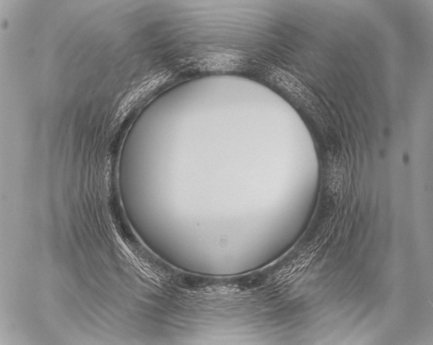 X0000059040586200510281544