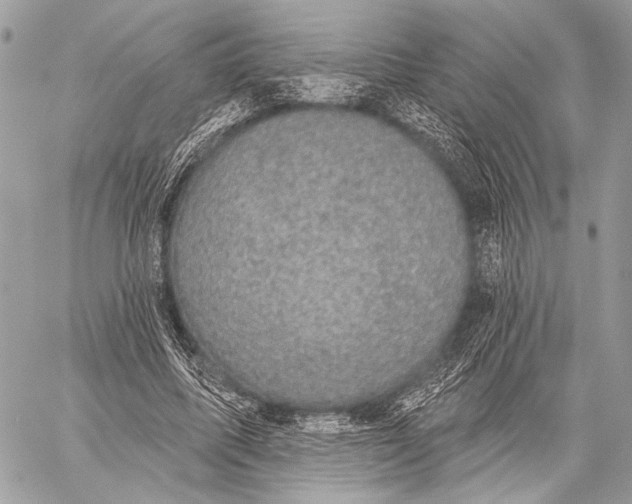 X0000059040587200510281544