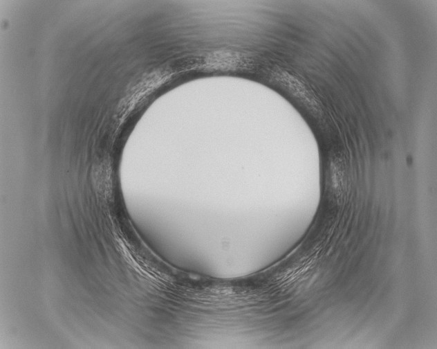 X0000059040588200510281544