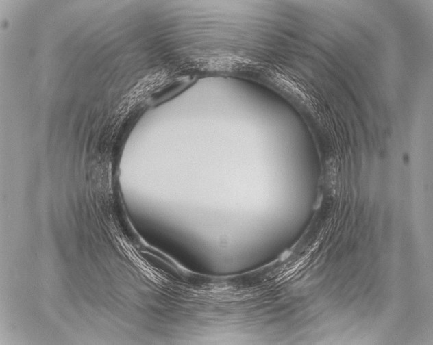 X0000059040589200510281544