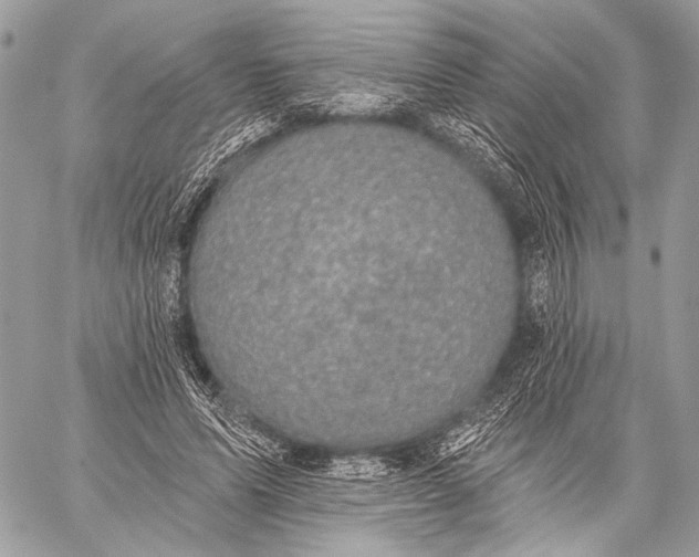 X0000059040591200510281544