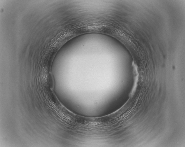 X0000059040593200510281544