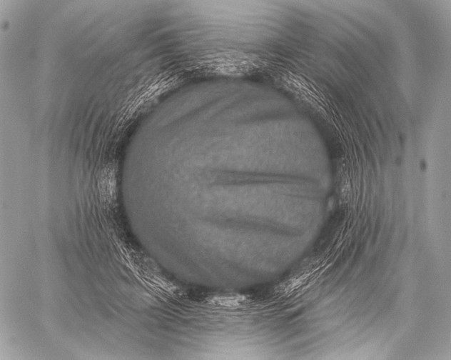 X0000059040595200510281544