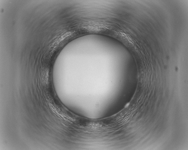 X0000059040596200510281544