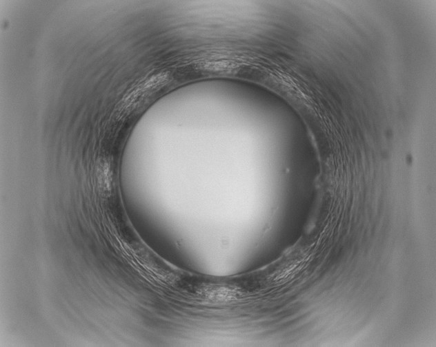 X0000059040597200510281544