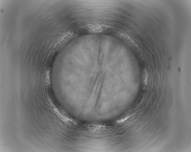 X0000059040598200510281544