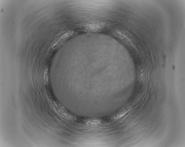 X0000059040599200510281544