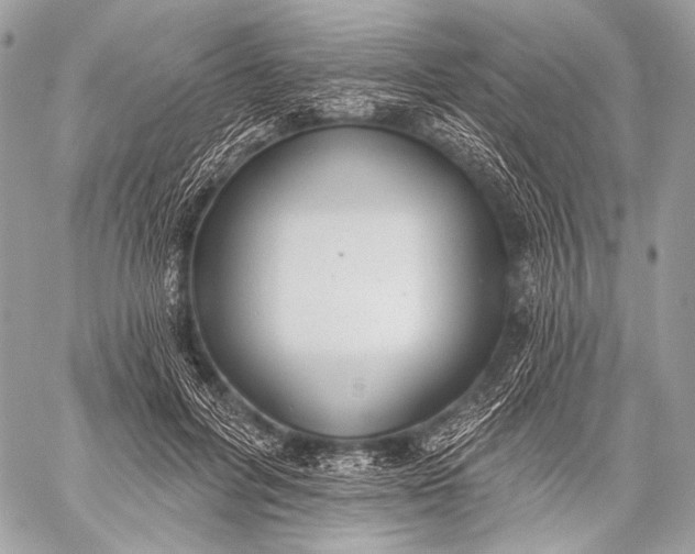 X0000059040600200510281544