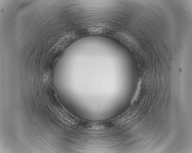 X0000059040601200510281544