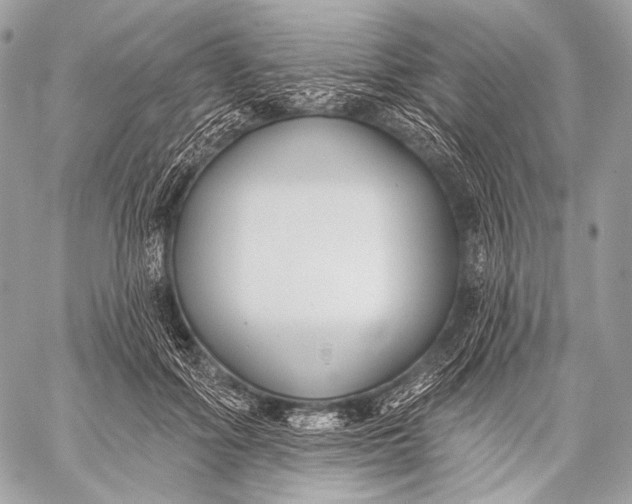 X0000059040602200510281544