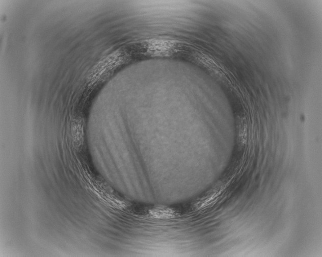 X0000059040603200510281544