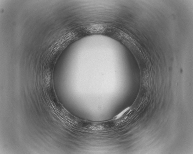 X0000059040604200510281544